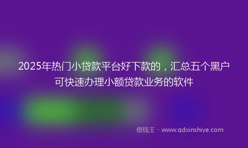 2025年热门小贷款平台好下款的，汇总五个黑户可快速办理小额贷款业务的软件