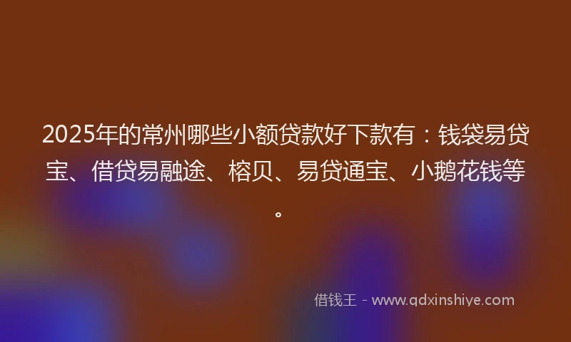 2025年的常州哪些小额贷款好下款有：钱袋易贷宝、借贷易融途、榕贝、易贷通宝、小鹅花钱等。