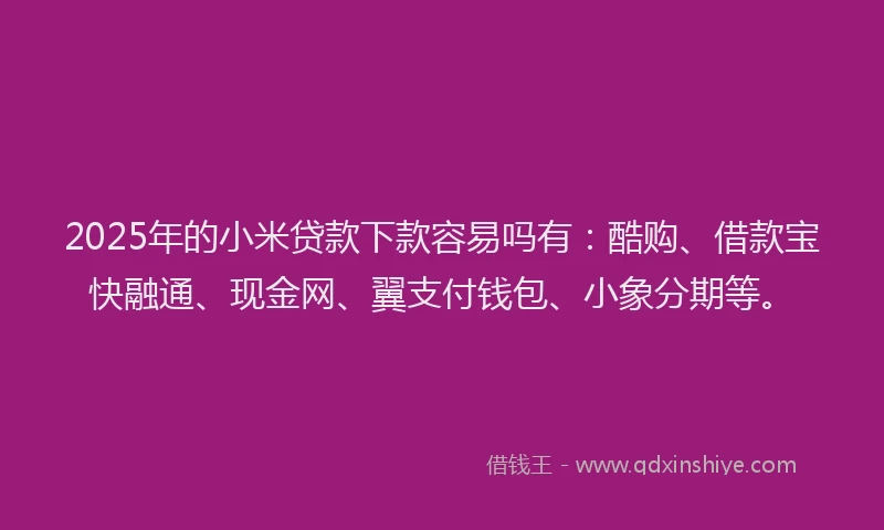 2025年的小米贷款下款容易吗有：酷购、借款宝快融通、现金网、翼支付钱包、小象分期等。
