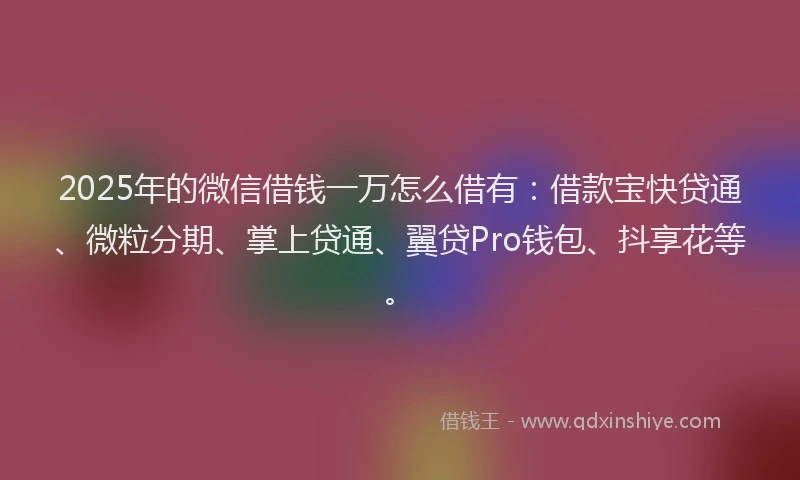 2025年的微信借钱一万怎么借有：借款宝快贷通、微粒分期、掌上贷通、翼贷Pro钱包、抖享花等。