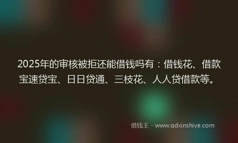 2025年的审核被拒还能借钱吗有：借钱花、借款宝速贷宝、日日贷通、三枝花、人人贷借款等。