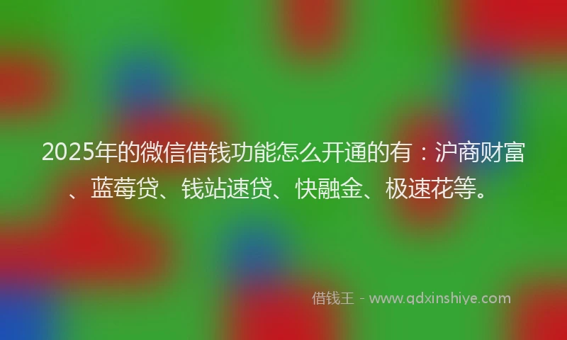 2025年的微信借钱功能怎么开通的有：沪商财富、蓝莓贷、钱站速贷、快融金、极速花等。