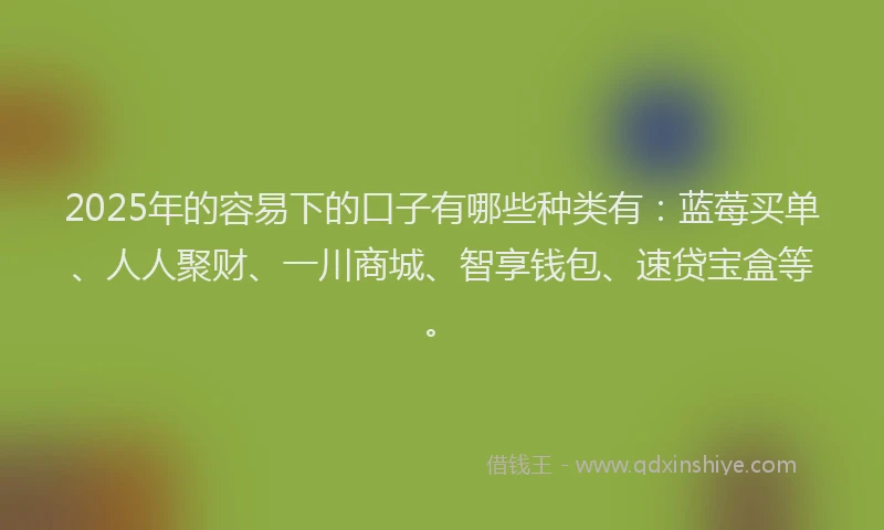 2025年的容易下的口子有哪些种类有：蓝莓买单、人人聚财、一川商城、智享钱包、速贷宝盒等。