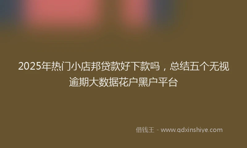 2025年热门小店邦贷款好下款吗，总结五个无视逾期大数据花户黑户平台