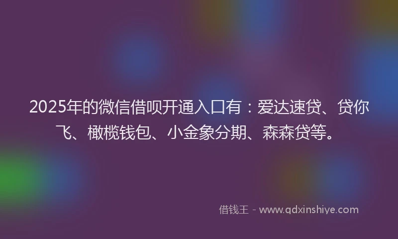 2025年的微信借呗开通入口有：爱达速贷、贷你飞、橄榄钱包、小金象分期、森森贷等。