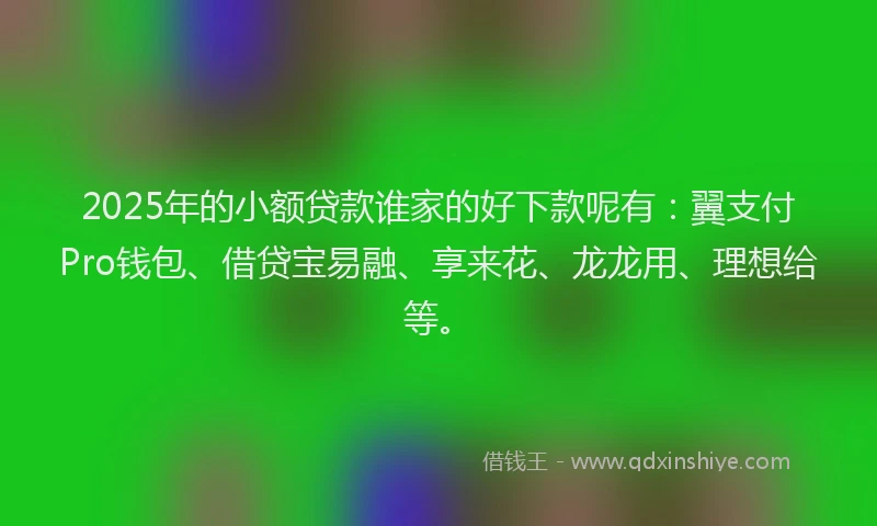 2025年的小额贷款谁家的好下款呢有：翼支付Pro钱包、借贷宝易融、享来花、龙龙用、理想给等。