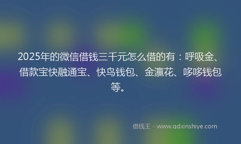 2025年的微信借钱三千元怎么借的有：呼吸金、借款宝快融通宝、快鸟钱包、金瀛花、哆哆钱包等。