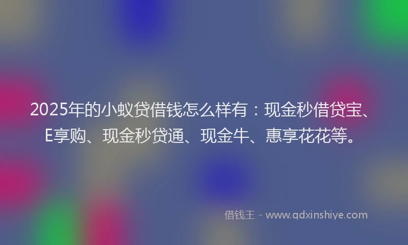 2025年的小蚁贷借钱怎么样有：现金秒借贷宝、E享购、现金秒贷通、现金牛、惠享花花等。