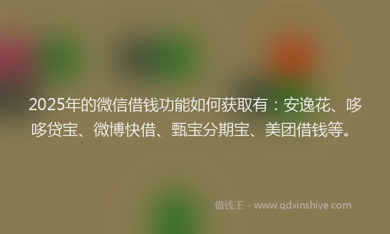 2025年的微信借钱功能如何获取有：安逸花、哆哆贷宝、微博快借、甄宝分期宝、美团借钱等。