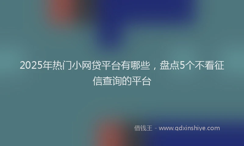 2025年热门小网贷平台有哪些，盘点5个不看征信查询的平台