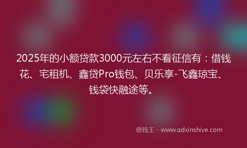 2025年的小额贷款3000元左右不看征信有：借钱花、宅租机、鑫贷Pro钱包、贝乐享-飞鑫琼宝、钱袋快融途等。
