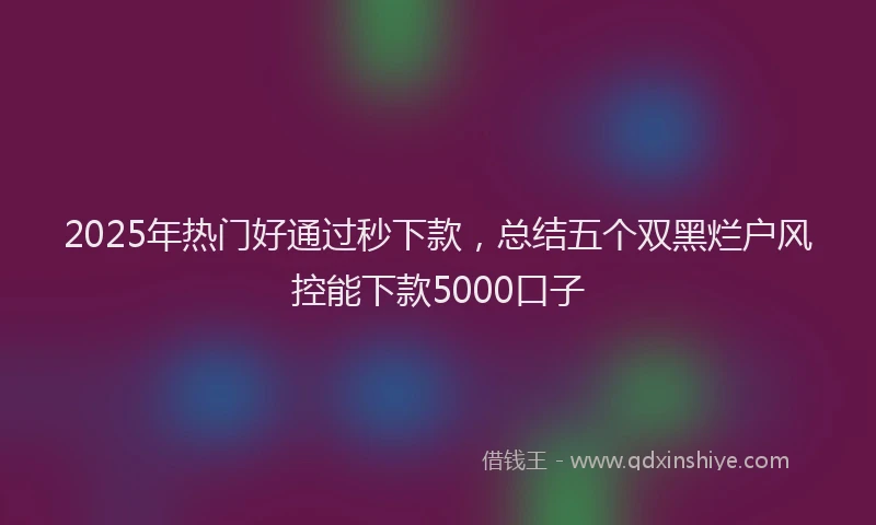 2025年热门好通过秒下款，总结五个双黑烂户风控能下款5000口子