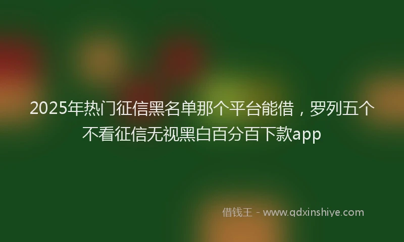 2025年热门征信黑名单那个平台能借，罗列五个不看征信无视黑白百分百下款app