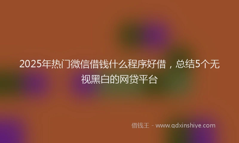 2025年热门微信借钱什么程序好借，总结5个无视黑白的网贷平台