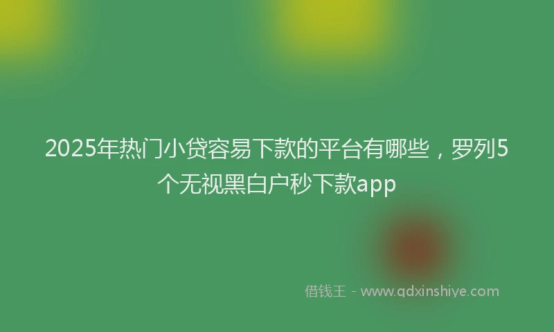 2025年热门小贷容易下款的平台有哪些，罗列5个无视黑白户秒下款app