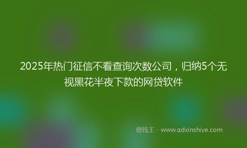 2025年热门征信不看查询次数公司，归纳5个无视黑花半夜下款的网贷软件