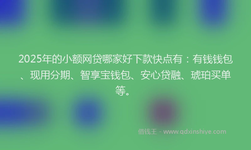 2025年的小额网贷哪家好下款快点有：有钱钱包、现用分期、智享宝钱包、安心贷融、琥珀买单等。