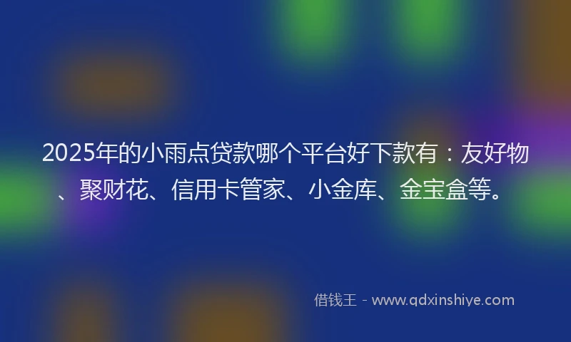 2025年的小雨点贷款哪个平台好下款有：友好物、聚财花、信用卡管家、小金库、金宝盒等。