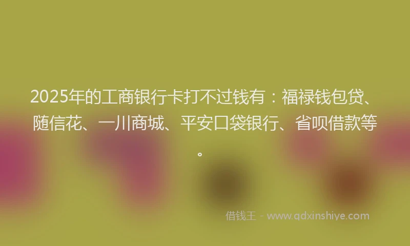 2025年的工商银行卡打不过钱有：福禄钱包贷、随信花、一川商城、平安口袋银行、省呗借款等。