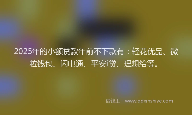 2025年的小额贷款年前不下款有：轻花优品、微粒钱包、闪电通、平安i贷、理想给等。