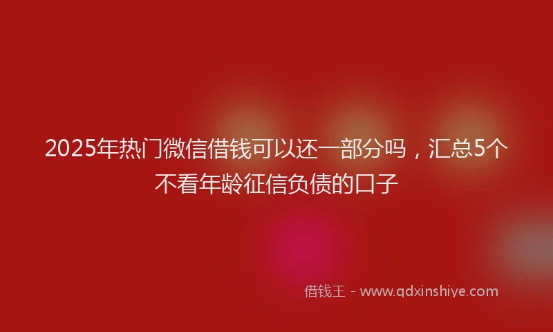 2025年热门微信借钱可以还一部分吗，汇总5个不看年龄征信负债的口子