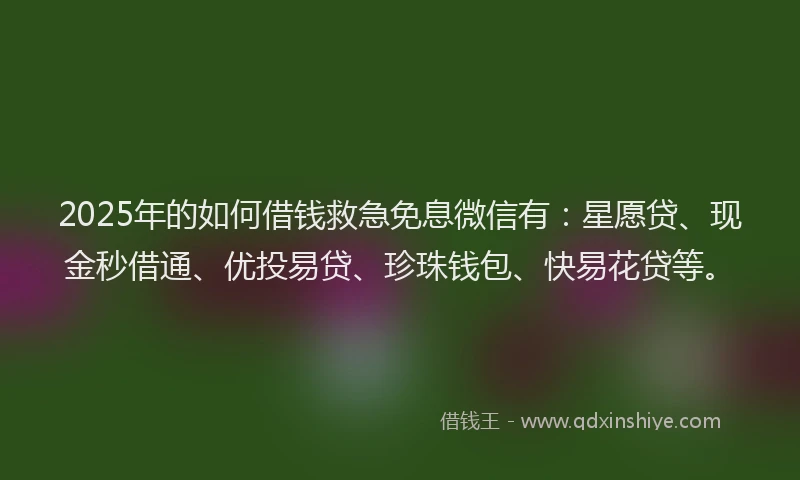 2025年的如何借钱救急免息微信有：星愿贷、现金秒借通、优投易贷、珍珠钱包、快易花贷等。