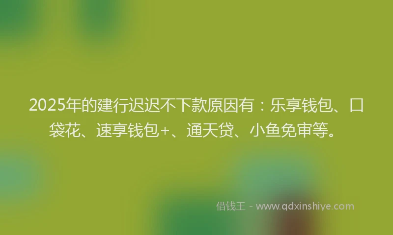 2025年的建行迟迟不下款原因有：乐享钱包、口袋花、速享钱包+、通天贷、小鱼免审等。