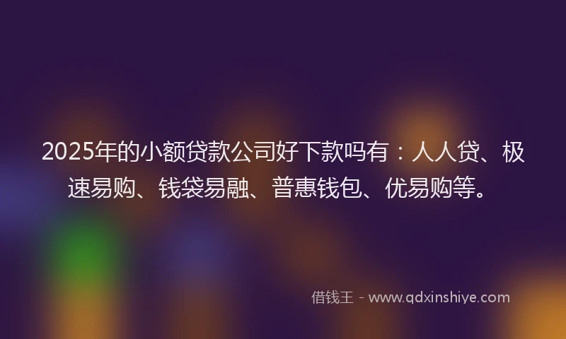 2025年的小额贷款公司好下款吗有：人人贷、极速易购、钱袋易融、普惠钱包、优易购等。