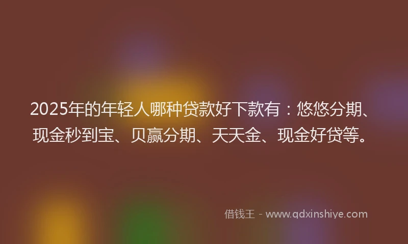 2025年的年轻人哪种贷款好下款有：悠悠分期、现金秒到宝、贝赢分期、天天金、现金好贷等。