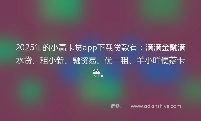 2025年的小赢卡贷app下载贷款有：滴滴金融滴水贷、租小新、融资易、优一租、羊小咩便荔卡等。