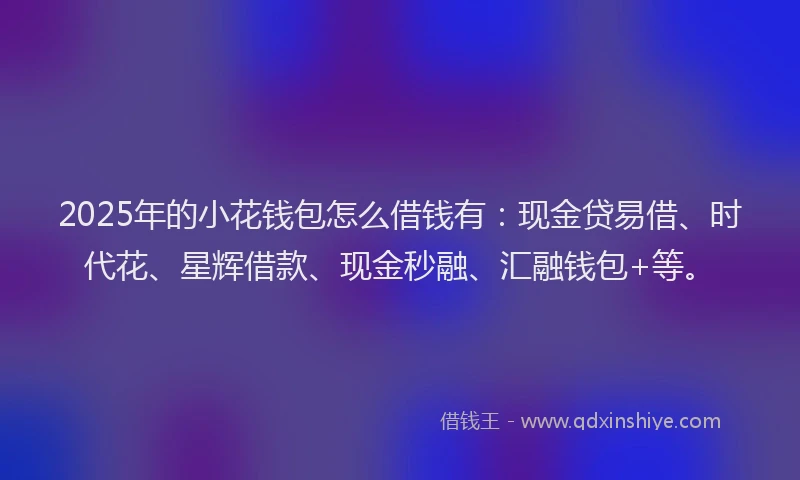 2025年的小花钱包怎么借钱有：现金贷易借、时代花、星辉借款、现金秒融、汇融钱包+等。