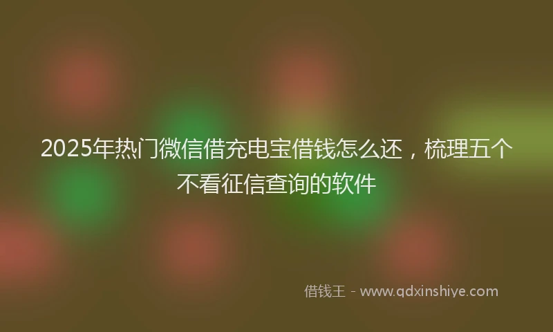 2025年热门微信借充电宝借钱怎么还，梳理五个不看征信查询的软件
