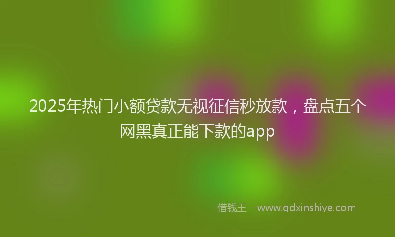 2025年热门小额贷款无视征信秒放款，盘点五个网黑真正能下款的app