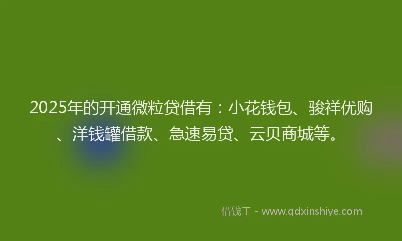 2025年的开通微粒贷借有：小花钱包、骏祥优购、洋钱罐借款、急速易贷、云贝商城等。