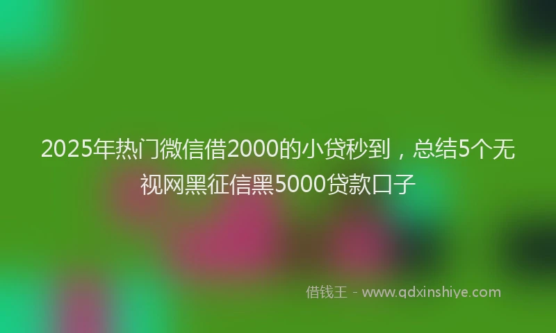 2025年热门微信借2000的小贷秒到，总结5个无视网黑征信黑5000贷款口子