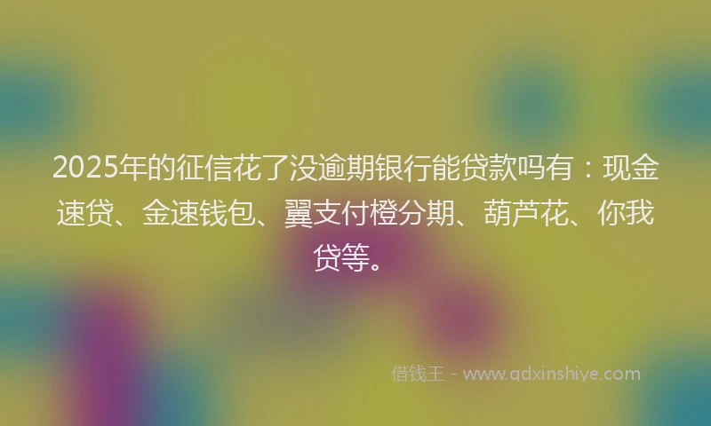 2025年的征信花了没逾期银行能贷款吗有：现金速贷、金速钱包、翼支付橙分期、葫芦花、你我贷等。