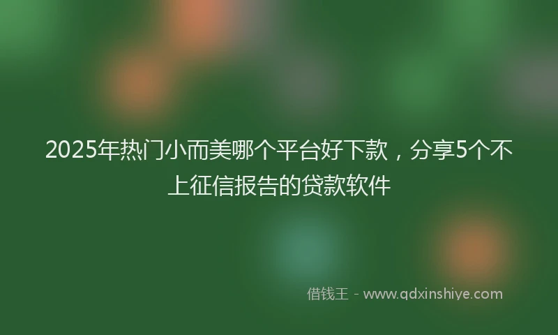 2025年热门小而美哪个平台好下款，分享5个不上征信报告的贷款软件
