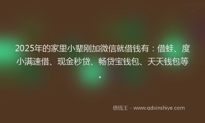 2025年的家里小辈刚加微信就借钱有：借蛙、度小满速借、现金秒贷、畅贷宝钱包、天天钱包等。
