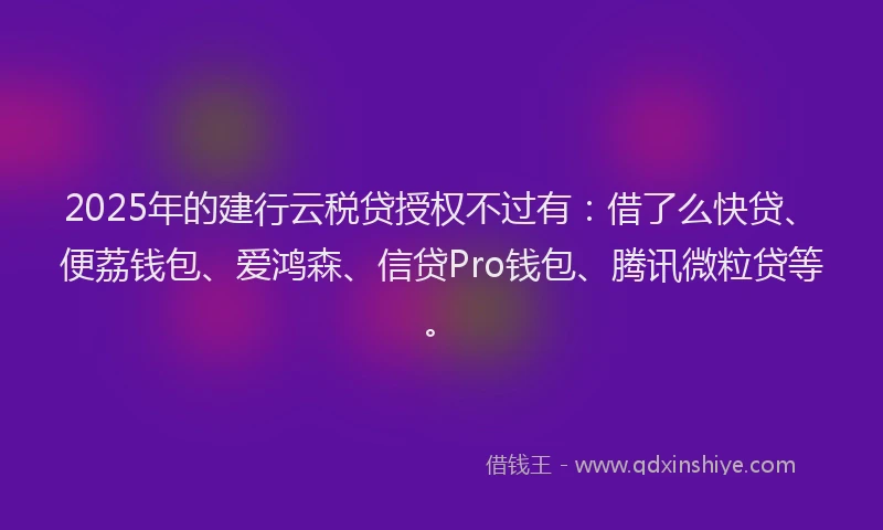 2025年的建行云税贷授权不过有：借了么快贷、便荔钱包、爱鸿森、信贷Pro钱包、腾讯微粒贷等。