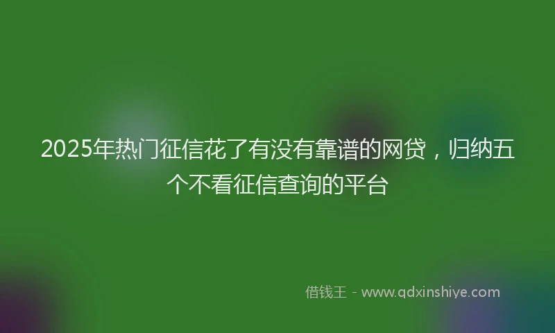 2025年热门征信花了有没有靠谱的网贷，归纳五个不看征信查询的平台