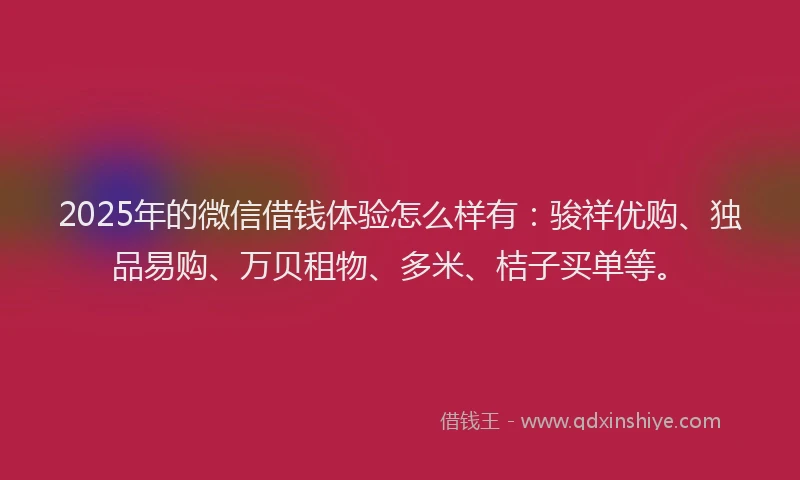 2025年的微信借钱体验怎么样有：骏祥优购、独品易购、万贝租物、多米、桔子买单等。