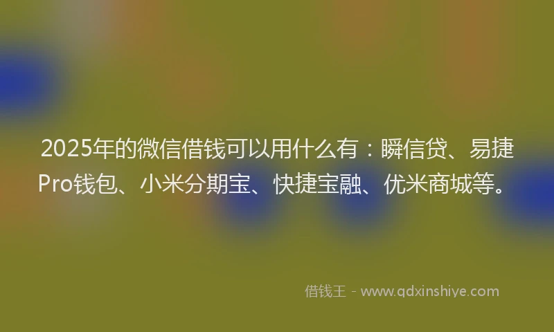 2025年的微信借钱可以用什么有：瞬信贷、易捷Pro钱包、小米分期宝、快捷宝融、优米商城等。