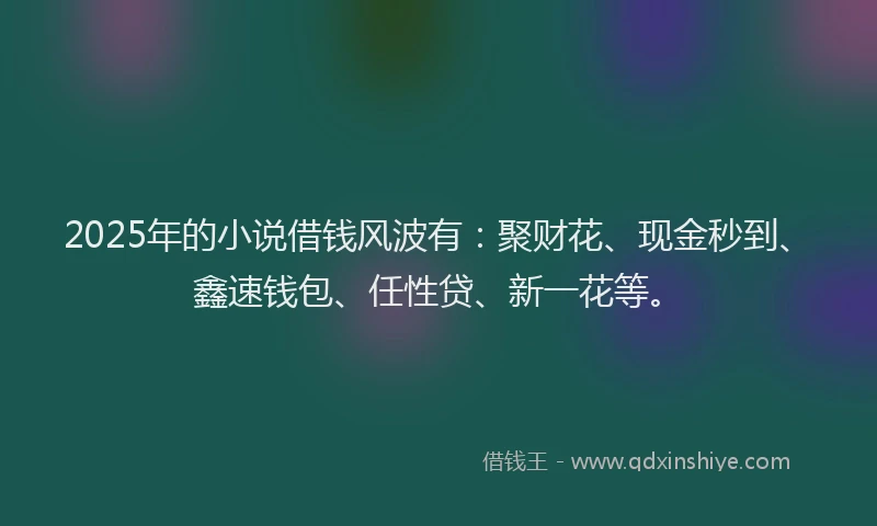 2025年的小说借钱风波有：聚财花、现金秒到、鑫速钱包、任性贷、新一花等。