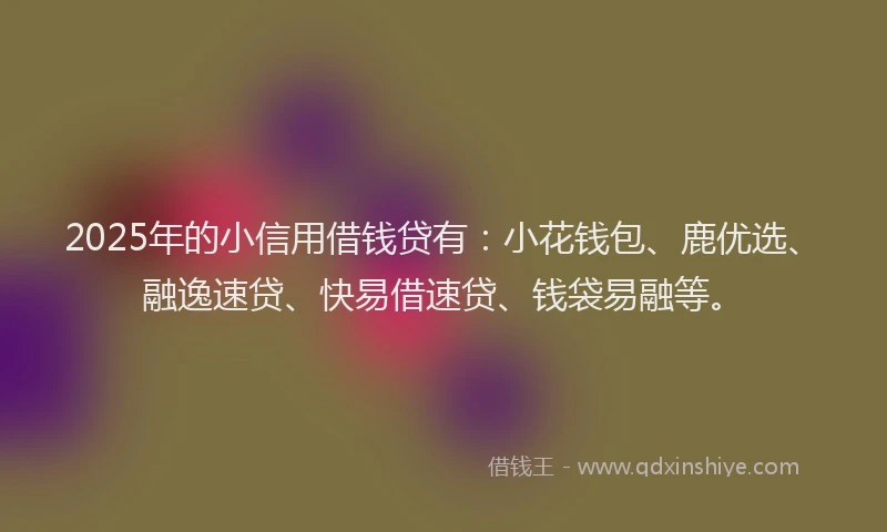 2025年的小信用借钱贷有：小花钱包、鹿优选、融逸速贷、快易借速贷、钱袋易融等。