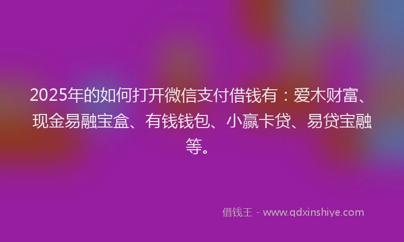 2025年的如何打开微信支付借钱有：爱木财富、现金易融宝盒、有钱钱包、小赢卡贷、易贷宝融等。