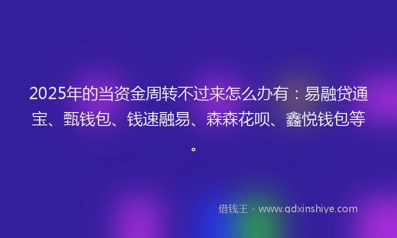 2025年的当资金周转不过来怎么办有：易融贷通宝、甄钱包、钱速融易、森森花呗、鑫悦钱包等。