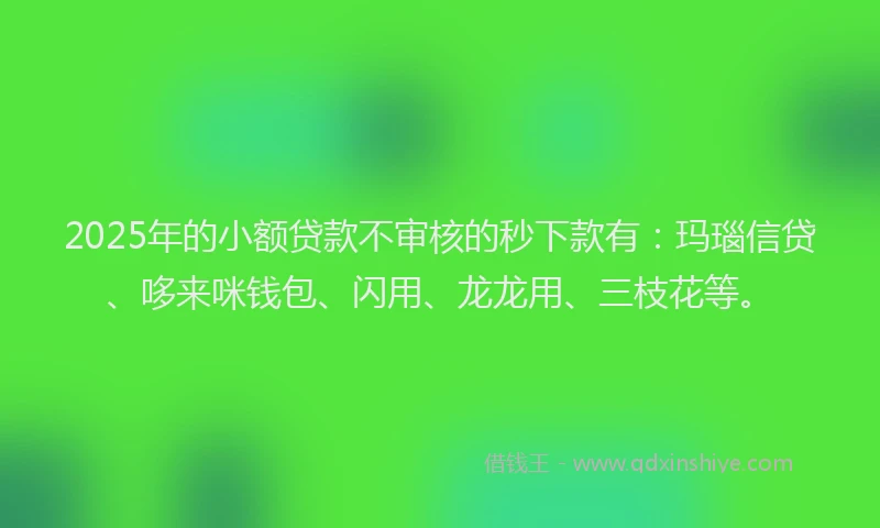 2025年的小额贷款不审核的秒下款有：玛瑙信贷、哆来咪钱包、闪用、龙龙用、三枝花等。