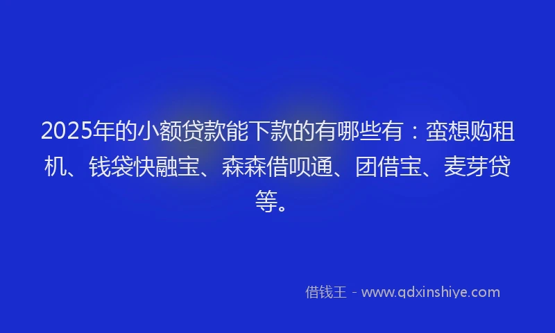 2025年的小额贷款能下款的有哪些有：蛮想购租机、钱袋快融宝、森森借呗通、团借宝、麦芽贷等。