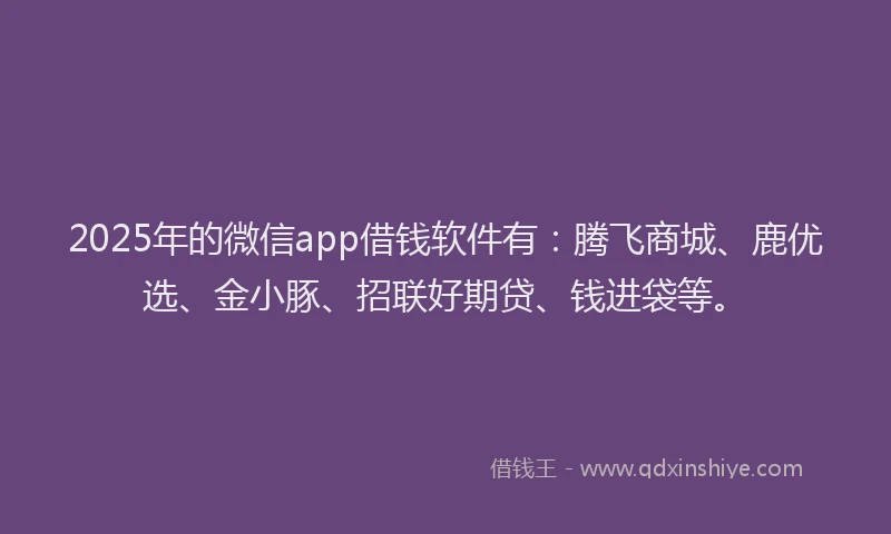 2025年的微信app借钱软件有：腾飞商城、鹿优选、金小豚、招联好期贷、钱进袋等。
