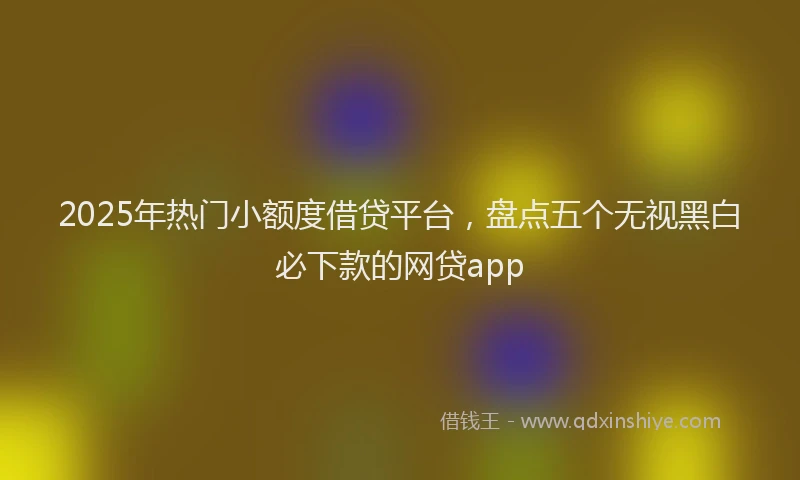 2025年热门小额度借贷平台，盘点五个无视黑白必下款的网贷app